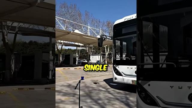 She is a skilled bus driver! She is a skilled bus driver!
