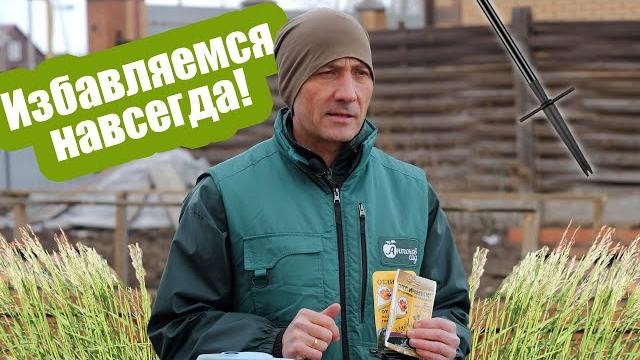 Сорняки на огороде! избавиться от сорных трав просто! выбираем средство от сорняков на участке Сорняки на огороде! избавиться от сорных трав просто! выбираем средство от сорняков на участке