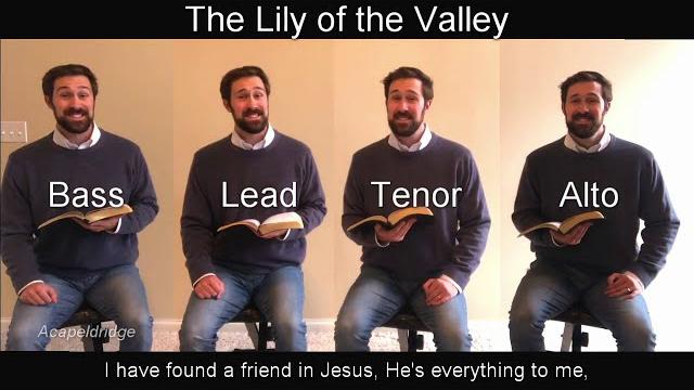 The lily of the valley The lily of the valley