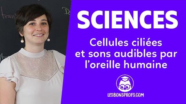 Cellules ciliées et sons audibles par l’oreille humaine - sciences - première - les bons profs Cellules ciliées et sons audibles par l’oreille humaine - sciences - première - les bons profs