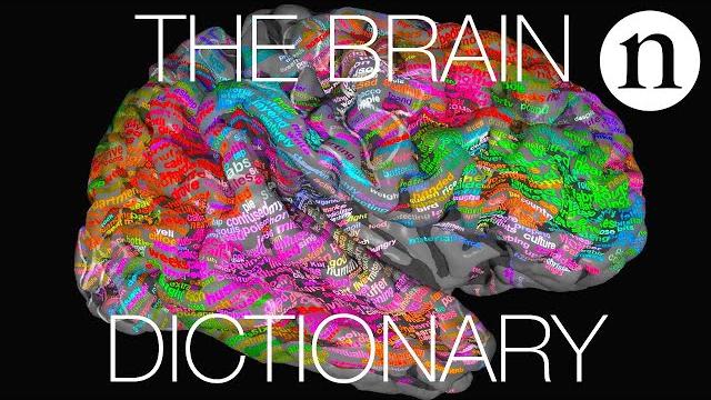 The brain dictionary The brain dictionary