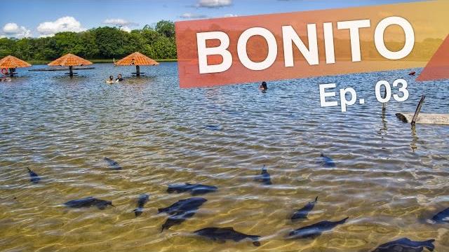Bonito - brasil :: ep. 03 :: parque das cachoeiras, praia da figueira e projeto jiboia :: 3em3 Bonito - brasil :: ep. 03 :: parque das cachoeiras, praia da figueira e projeto jiboia :: 3em3