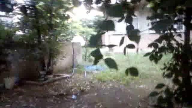 Çoğu türbanlı. Çoğu türbanlı.