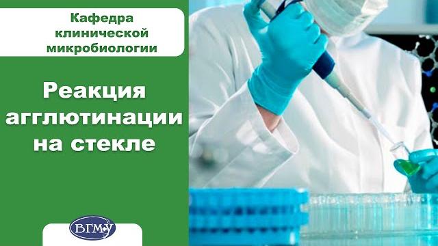 10. реакция агглютинации на стекле 10. реакция агглютинации на стекле
