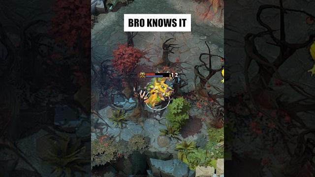 This is how you use the item right! #dota2 This is how you use the item right! #dota2