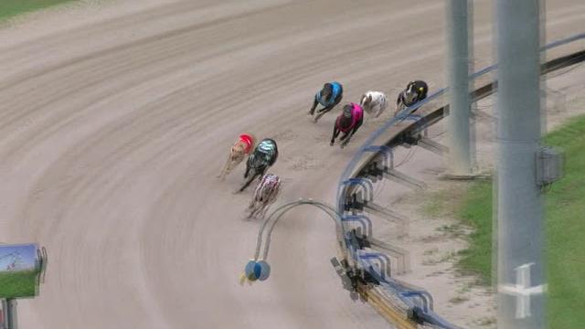 Ipswich-tuesday-30012024-race-1 Ipswich-tuesday-30012024-race-1