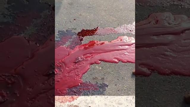 একটি মর্মান্তিক বাইক এক্সিডেন্ট //bike accident \\#shorts #shortvideo #foryou #village #shortviral একটি মর্মান্তিক বাইক এক্সিডেন্ট //bike accident \\#shorts #shortvideo #foryou #village #shortviral