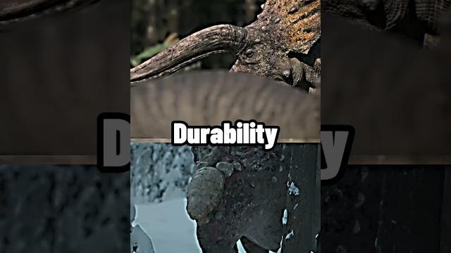 Triceratops vs pachyrhinosaurus #triceratops #short #1v1 #pachyrhinosaurus #subscribetomychannel Triceratops vs pachyrhinosaurus #triceratops #short #1v1 #pachyrhinosaurus #subscribetomychannel