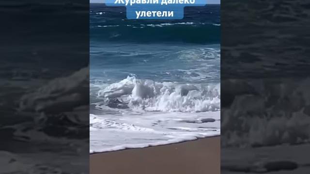 Русавуки. #христианскиепесни#christiansongs#христианская музыка#христианство#песня#христиане Русавуки. #христианскиепесни#christiansongs#христианская музыка#христианство#песня#христиане