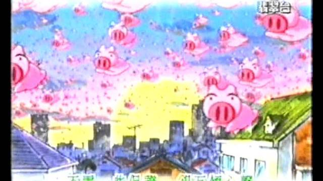 晴天pig pig op 晴天pig pig op