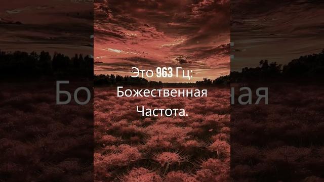 963 гц частота, медитация и расслабляющая музыка, сольфеджио, шишковидная железа, исцеление чакр 963 гц частота, медитация и расслабляющая музыка, сольфеджио, шишковидная железа, исцеление чакр