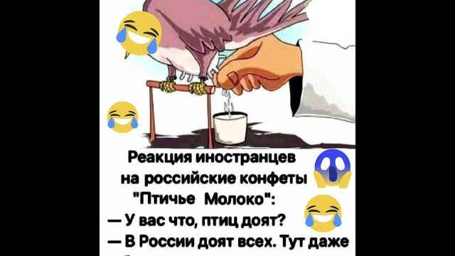 Юмор Юмор
