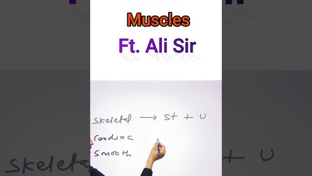 Muscles || #jinc#skill वाला ज्ञान #8 by ali sir Muscles || #jinc#skill वाला ज्ञान #8 by ali sir