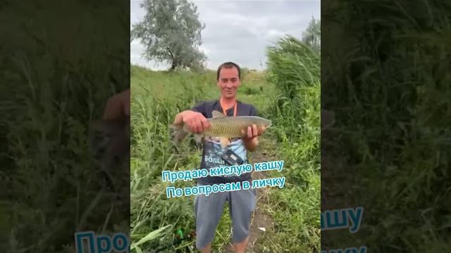 Рыбалка в бишкеке Рыбалка в бишкеке
