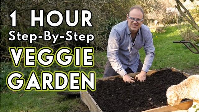 New vegetable garden: how to get started New vegetable garden: how to get started