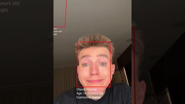 The face detect filter The face detect filter