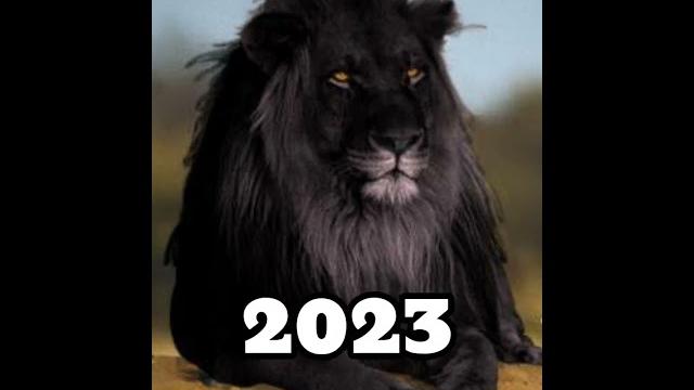 2025 black lion and 5000 bce black lion#blacklion#viral#shorts. 2025 black lion and 5000 bce black lion#blacklion#viral#shorts.