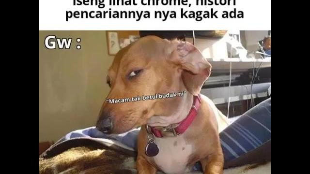 Cella viral smp https://justpaste.it/ilzf4 Cella viral smp https://justpaste.it/ilzf4