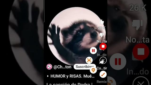 Mi prima borracha Mi prima borracha