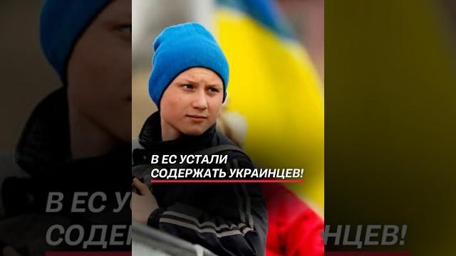 Европейцы устали содержать украинцев! #украина #ес #мигранты #беженцы #политика #новости #война Европейцы устали содержать украинцев! #украина #ес #мигранты #беженцы #политика #новости #война