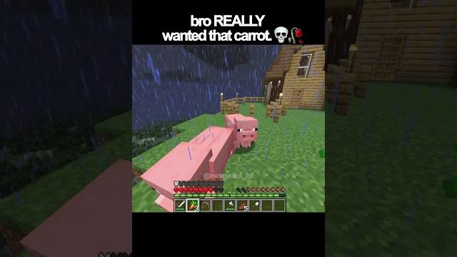 Bro really wanted that carrot. Bro really wanted that carrot.