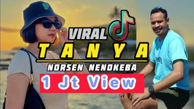 Tanya_cover : norsen nenokeba Tanya_cover : norsen nenokeba