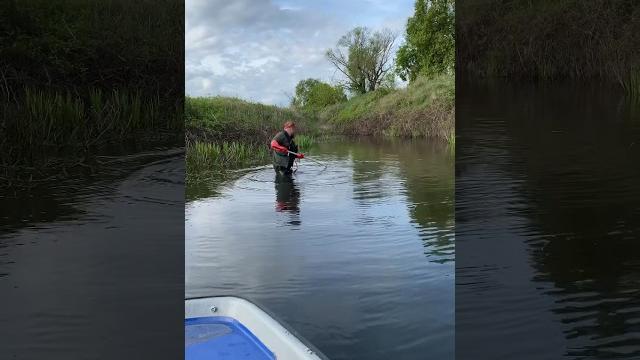 Электроудочка! спасаем рыбу! #angeln #fishing #рыбак #рыбалка #электроудочка #fish #спиннинг #angler Электроудочка! спасаем рыбу! #angeln #fishing #рыбак #рыбалка #электроудочка #fish #спиннинг #angler