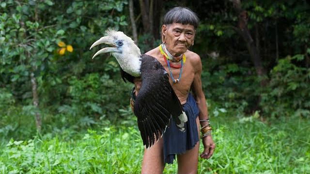 Borneo death blow - full documentary Borneo death blow - full documentary