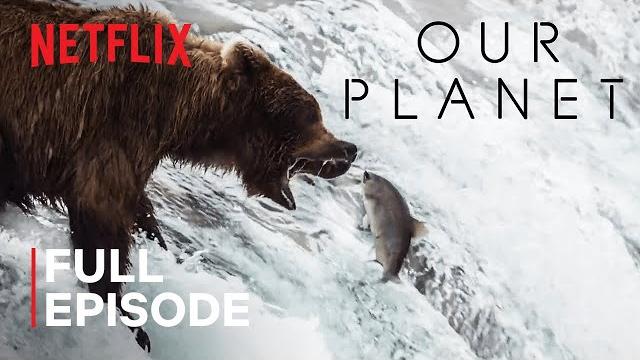 Our planet | fresh water | full episode | netflix Our planet | fresh water | full episode | netflix