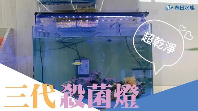 Mr.aqua迷你殺菌燈-除綠水實拍 Mr.aqua迷你殺菌燈-除綠水實拍