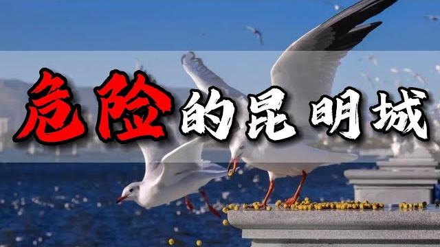 富贵险中求 危险的昆明城 富贵险中求 危险的昆明城