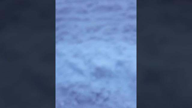Кровь из рта Кровь из рта