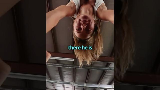 Just friends #cheer #stunt #shorts Just friends #cheer #stunt #shorts