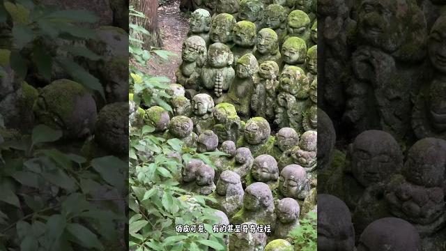爱宕念佛寺 #travel #旅行#kyoto #京都 爱宕念佛寺 #travel #旅行#kyoto #京都