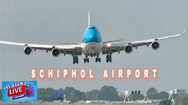 Live: crosswind landings during golden hour at amsterdam schiphol airport | june 1st, 2025 Live: crosswind landings during golden hour at amsterdam schiphol airport | june 1st, 2025