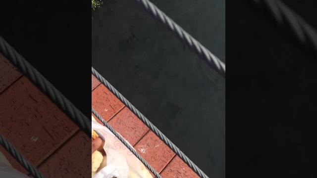 修福不修慧,大象掛瓔珞,修慧不修福,羅漢托空缽. 修福不修慧,大象掛瓔珞,修慧不修福,羅漢托空缽.