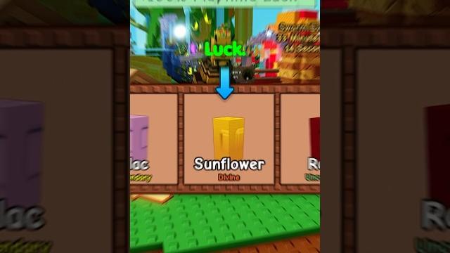 How to get: sunflower seed in grow a garden #growagarden #roblox How to get: sunflower seed in grow a garden #growagarden #roblox