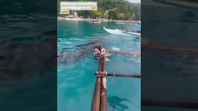 Whale shark interaction Whale shark interaction