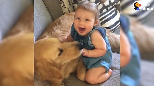 Dogs and kids growing up together | the dodo Dogs and kids growing up together | the dodo