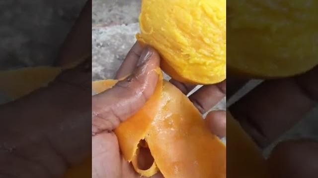 Julie mango to go Julie mango to go