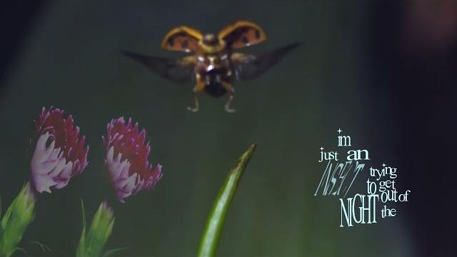 Manasco lyric video 24-25 Manasco lyric video 24-25