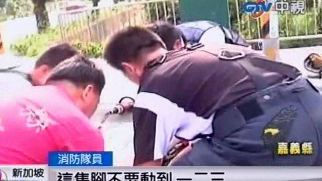 騎士等紅燈遭撞 鐵架插進肛門送醫 騎士等紅燈遭撞 鐵架插進肛門送醫
