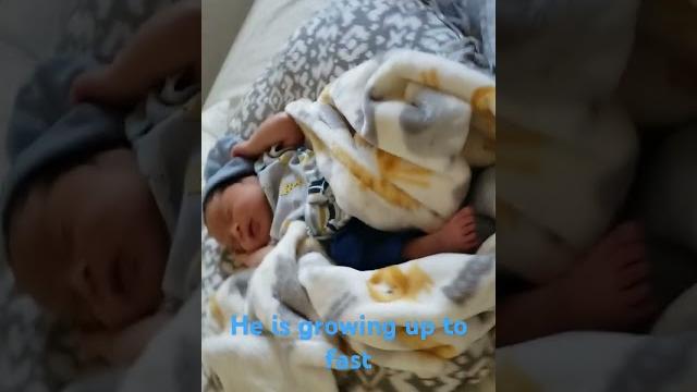 Eljay caine is almost a year old Eljay caine is almost a year old