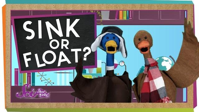 Sink or float? Sink or float?
