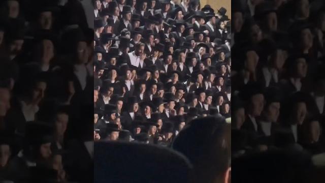 #dance #music #jewish #meron #newyork #viral #dance #music #jewish #meron #newyork #viral