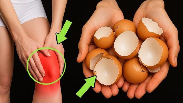 Never throw away eggshells again after seeing this! you won’t believe how useful they can be! Never throw away eggshells again after seeing this! you won’t believe how useful they can be!