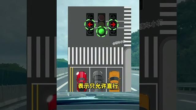你是不是看到这种红绿灯,直接就蒙圈了! #新国标信号灯 #红绿灯 #汽车知识 #交通安全 你是不是看到这种红绿灯,直接就蒙圈了! #新国标信号灯 #红绿灯 #汽车知识 #交通安全