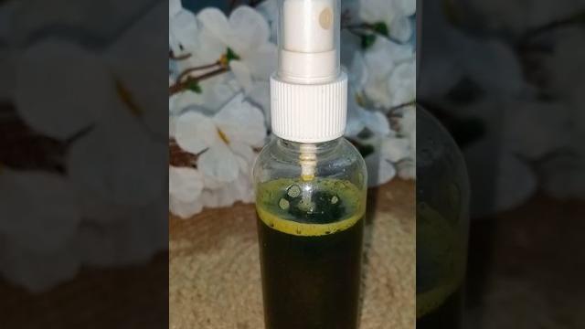 Fresh coriander hair toner | regrowing new hairs #haircare #hairgrowth #shorts #beautywithsimran Fresh coriander hair toner | regrowing new hairs #haircare #hairgrowth #shorts #beautywithsimran