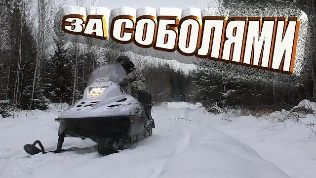 Один в тайгу на промысел охота на соболя капканами Один в тайгу на промысел охота на соболя капканами