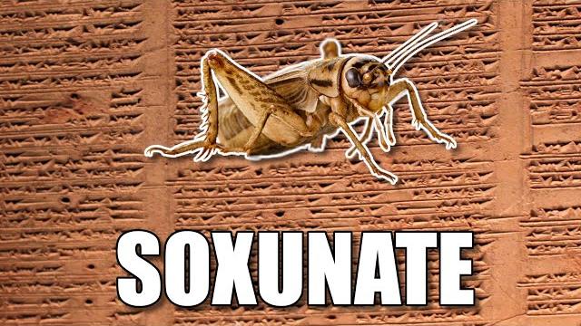 The soxunate language (ccc3) The soxunate language (ccc3)